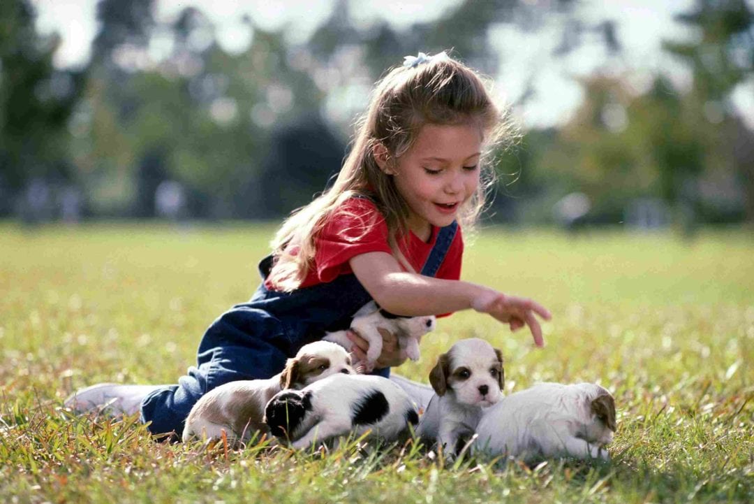 Puppies amateur girl