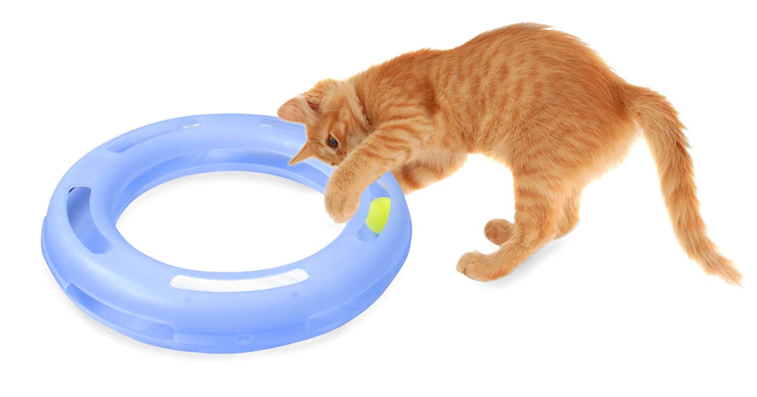 best toys to keep cats entertained